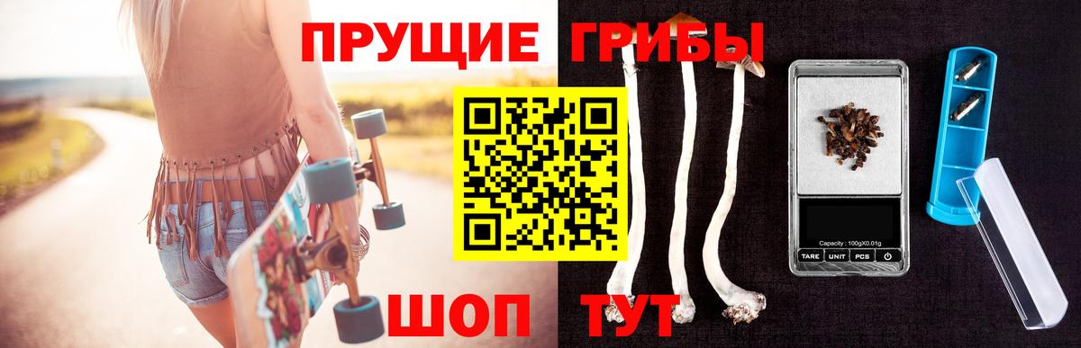 Кашира  Галлюциногенные грибы мухоморы  Вход с VPN 